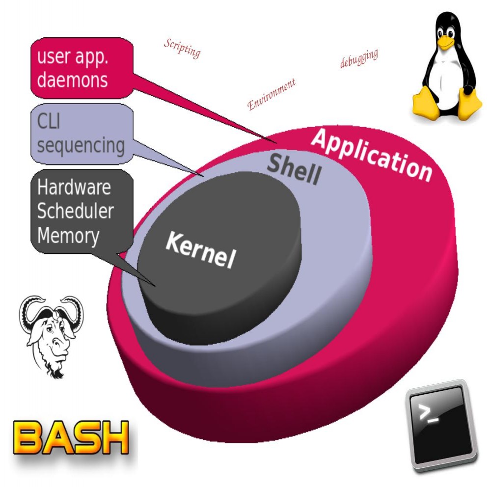 User shell. Платформа линукс. Linux Shell. Shell Scripting. Novi Labs Shell.